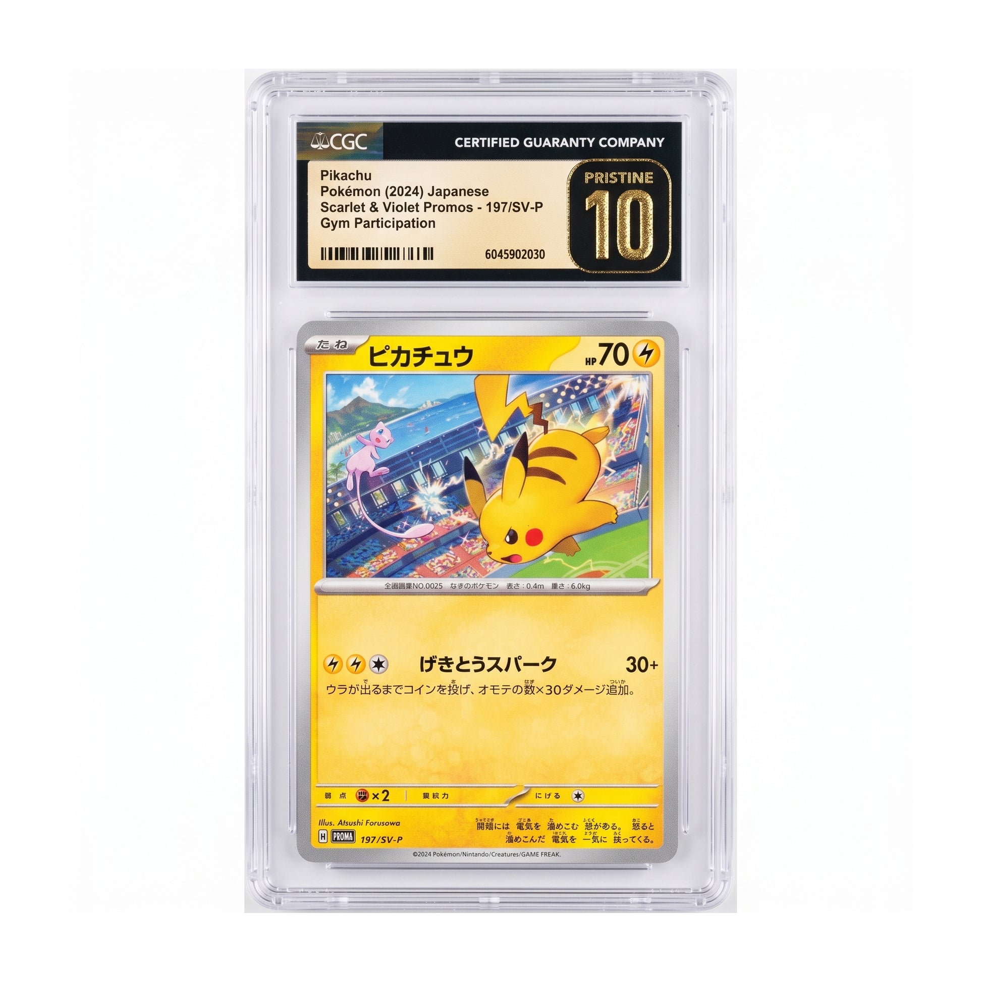 Pikachu | Procards | PCS-104 | foto 1