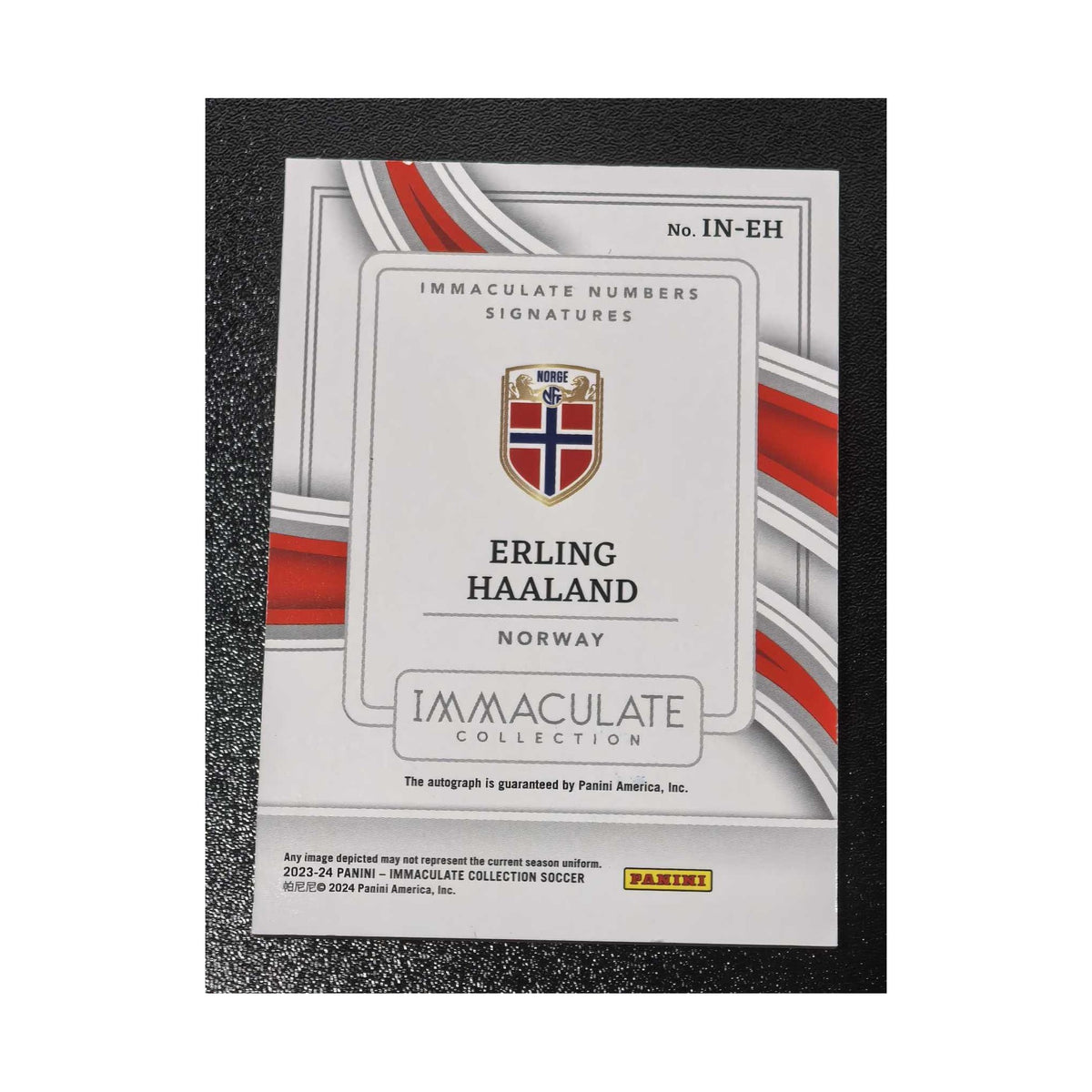 Erling Haaland | Procards | PCS-280 | foto 2
