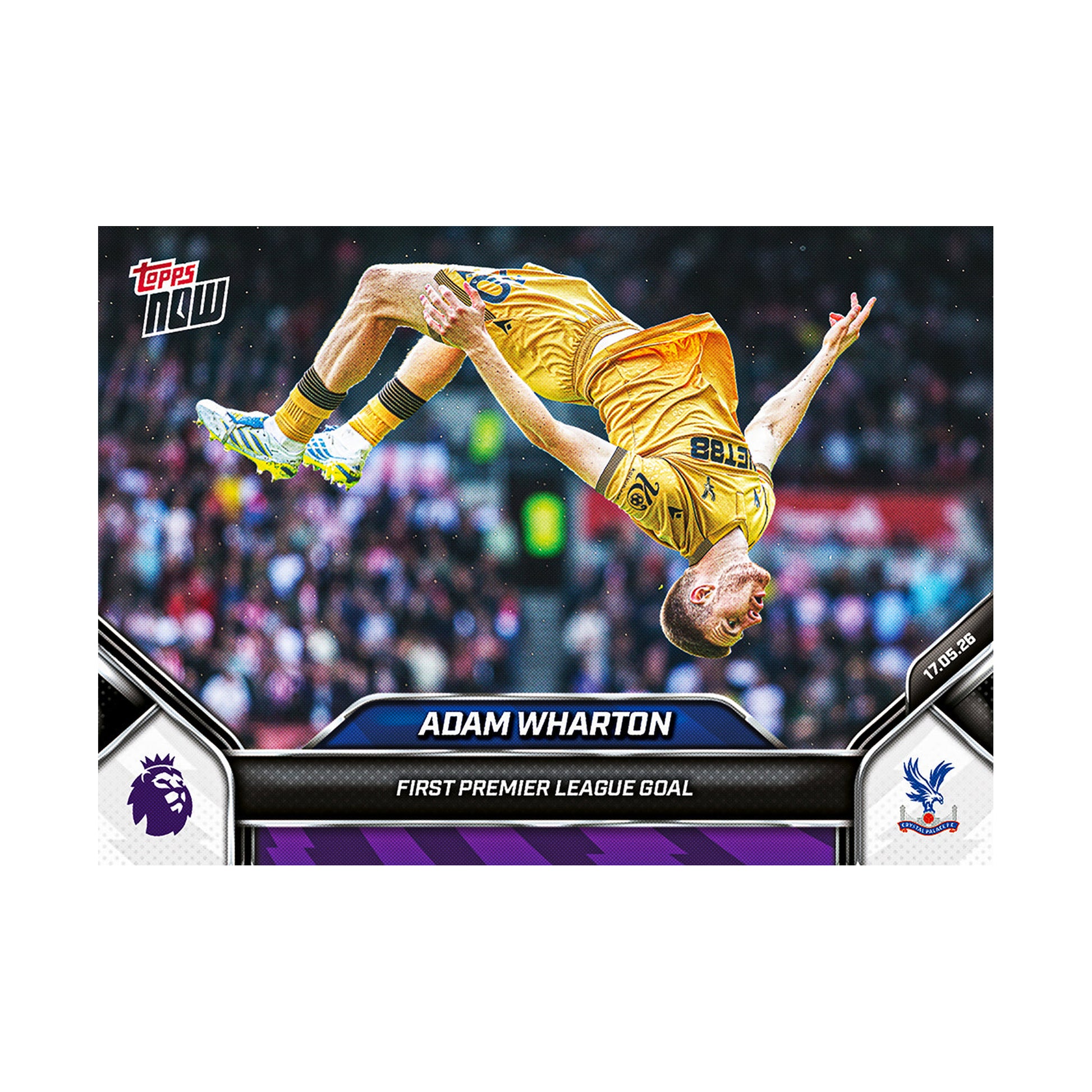 Adam Wharton | Procards | PCS-300 | foto 1