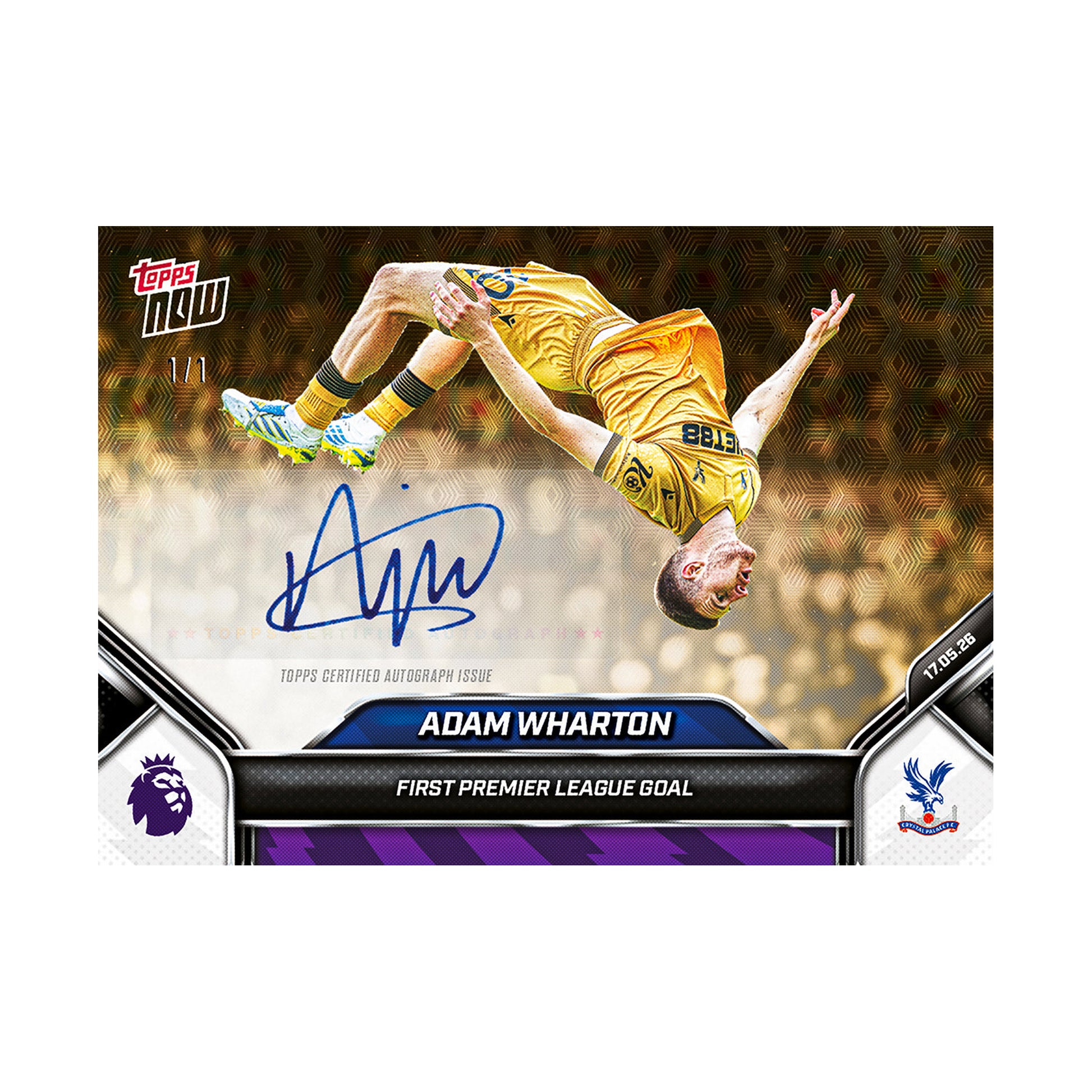 Adam Wharton | Procards | PCS-300 | foto 2