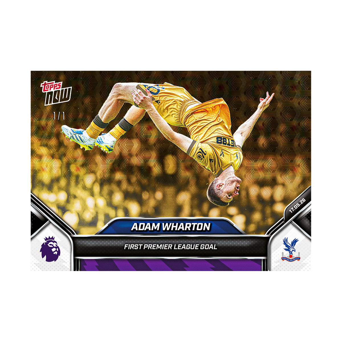 Adam Wharton | Procards | PCS-300 | foto 3