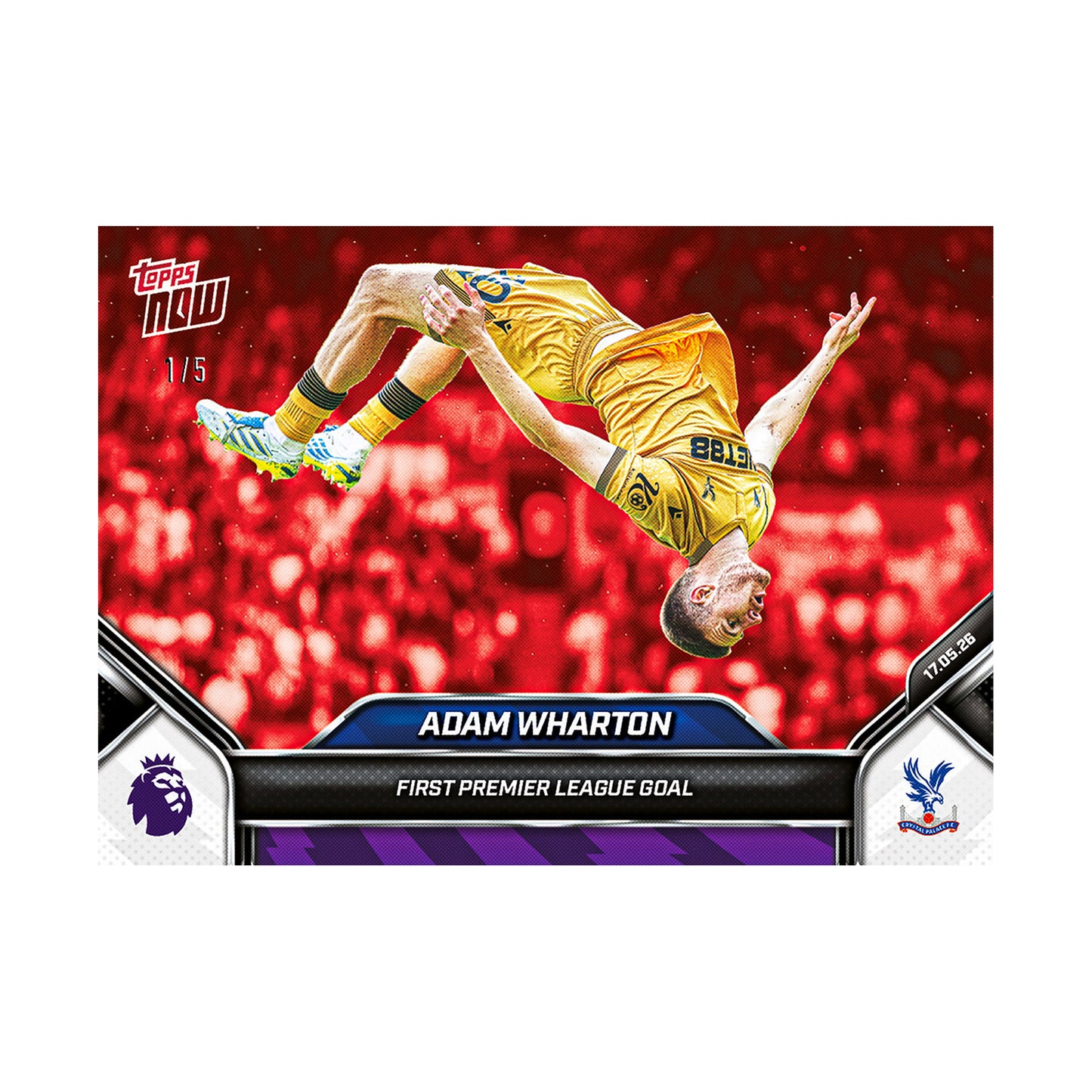 Adam Wharton | Procards | PCS-300 | foto 4