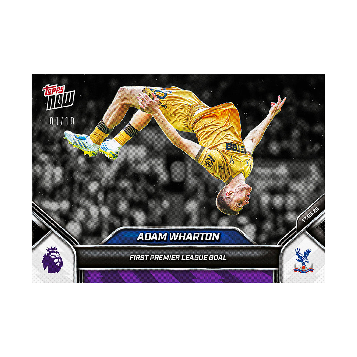 Adam Wharton | Procards | PCS-300 | foto 5
