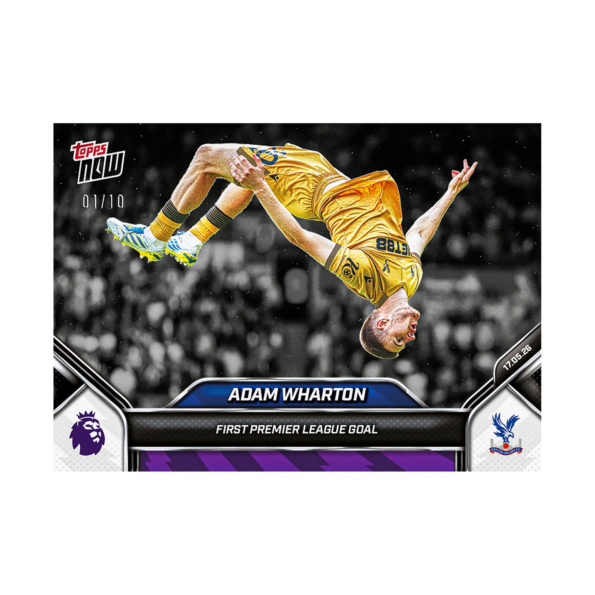 Adam Wharton | Procards | PCS-300 | foto 5