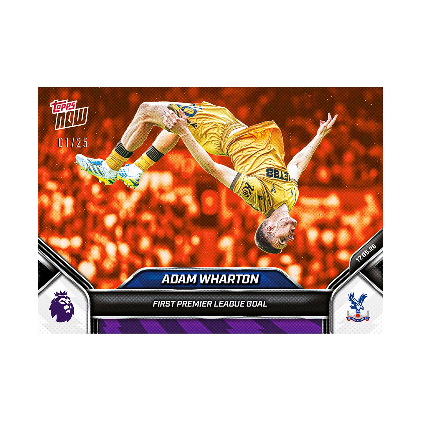 Adam Wharton | Procards | PCS-300 | foto 6