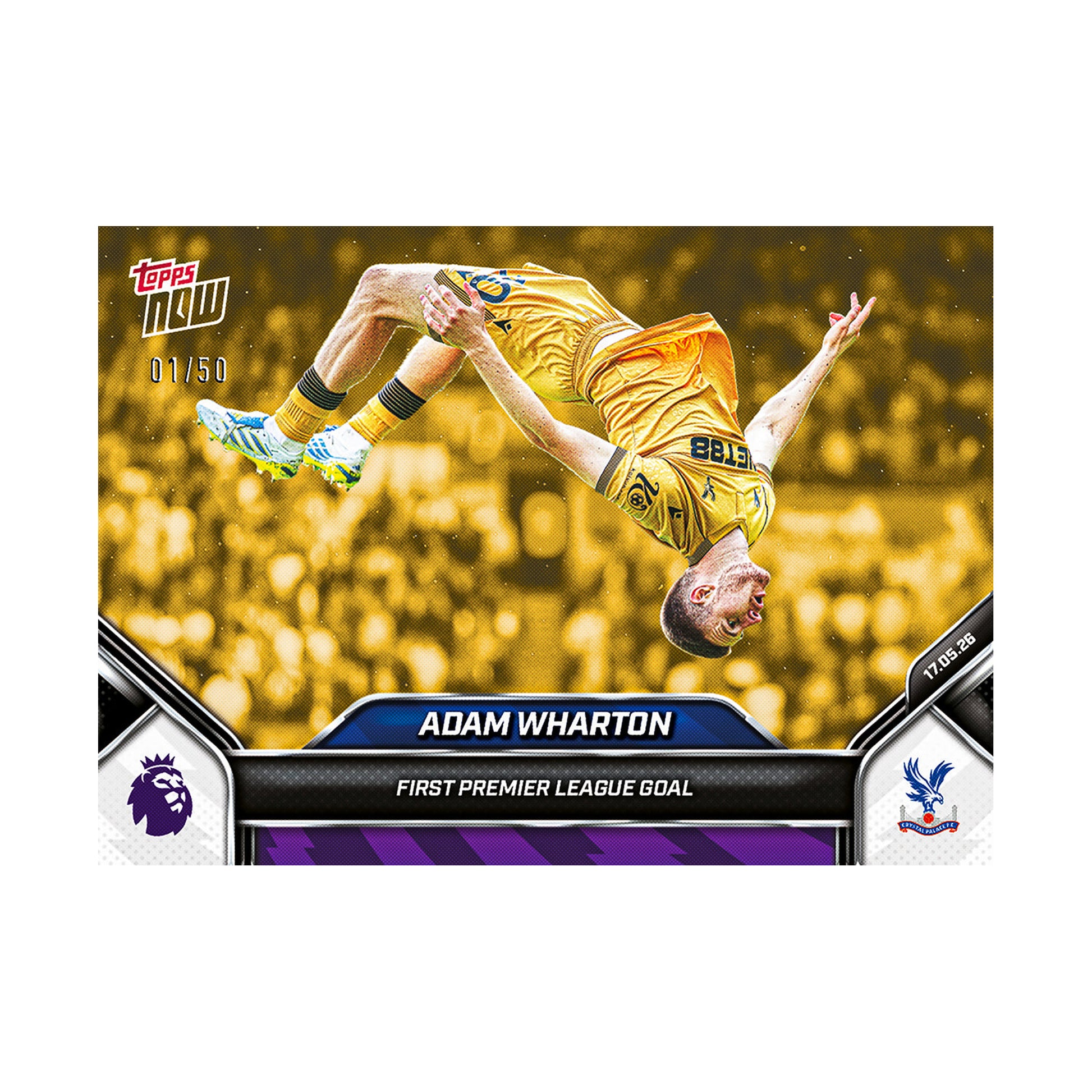 Adam Wharton | Procards | PCS-300 | foto 7