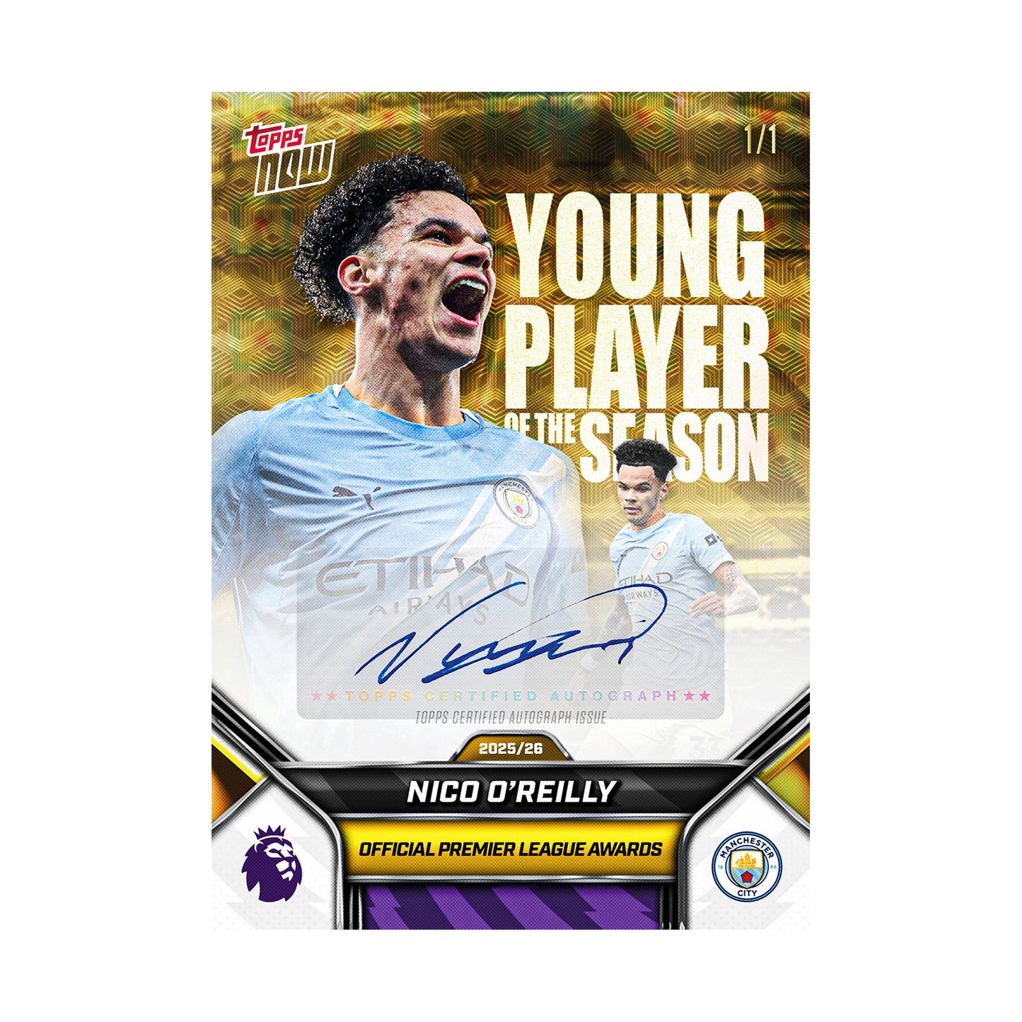 Nico O'Reilly | Procards | PCS-381 | foto 2