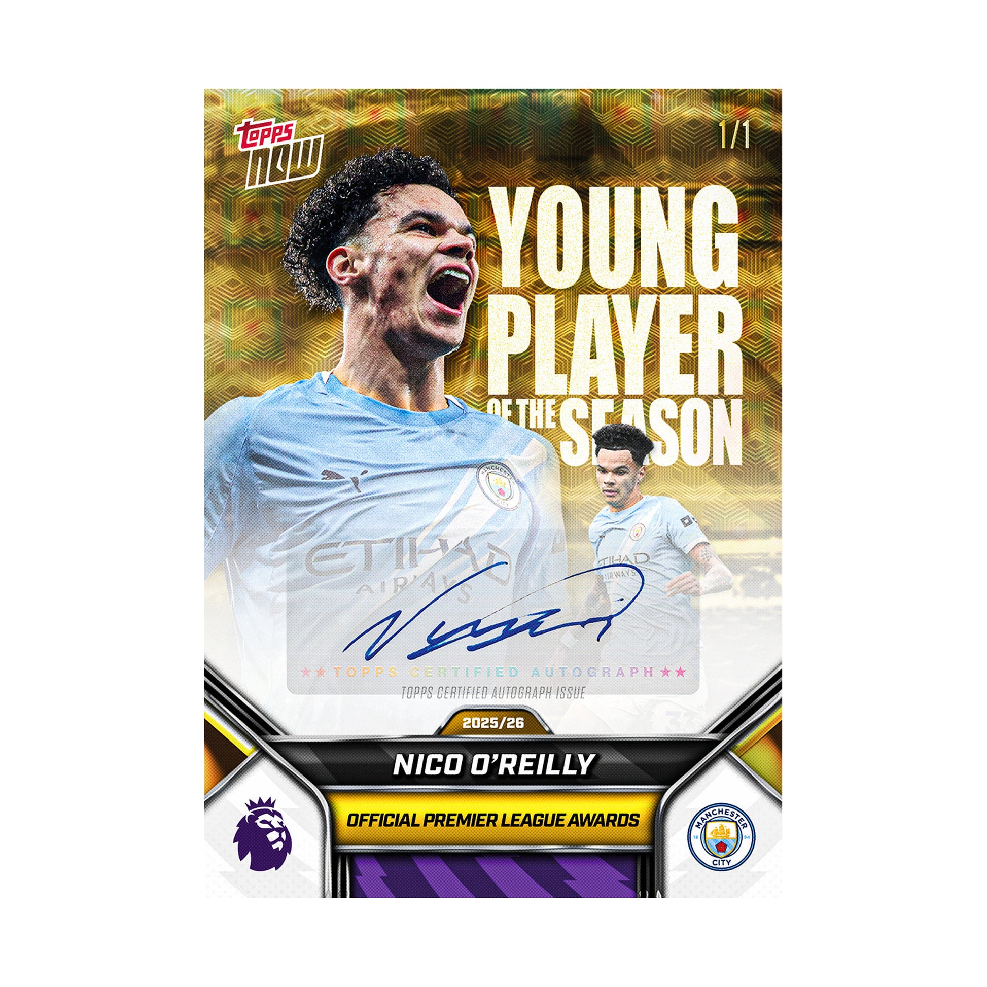 Nico O'Reilly | Procards | PCS-381 | foto 2