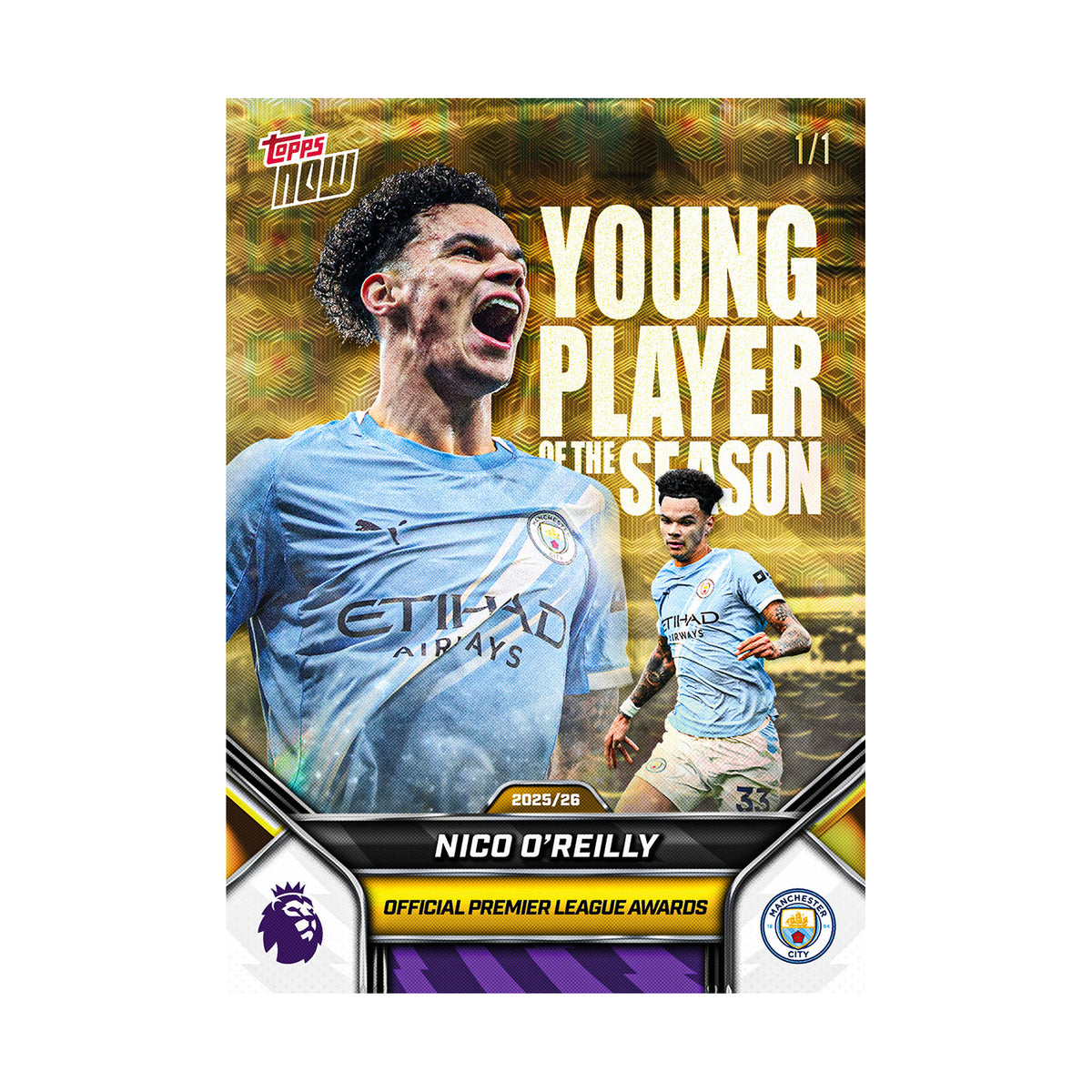 Nico O'Reilly | Procards | PCS-381 | foto 3