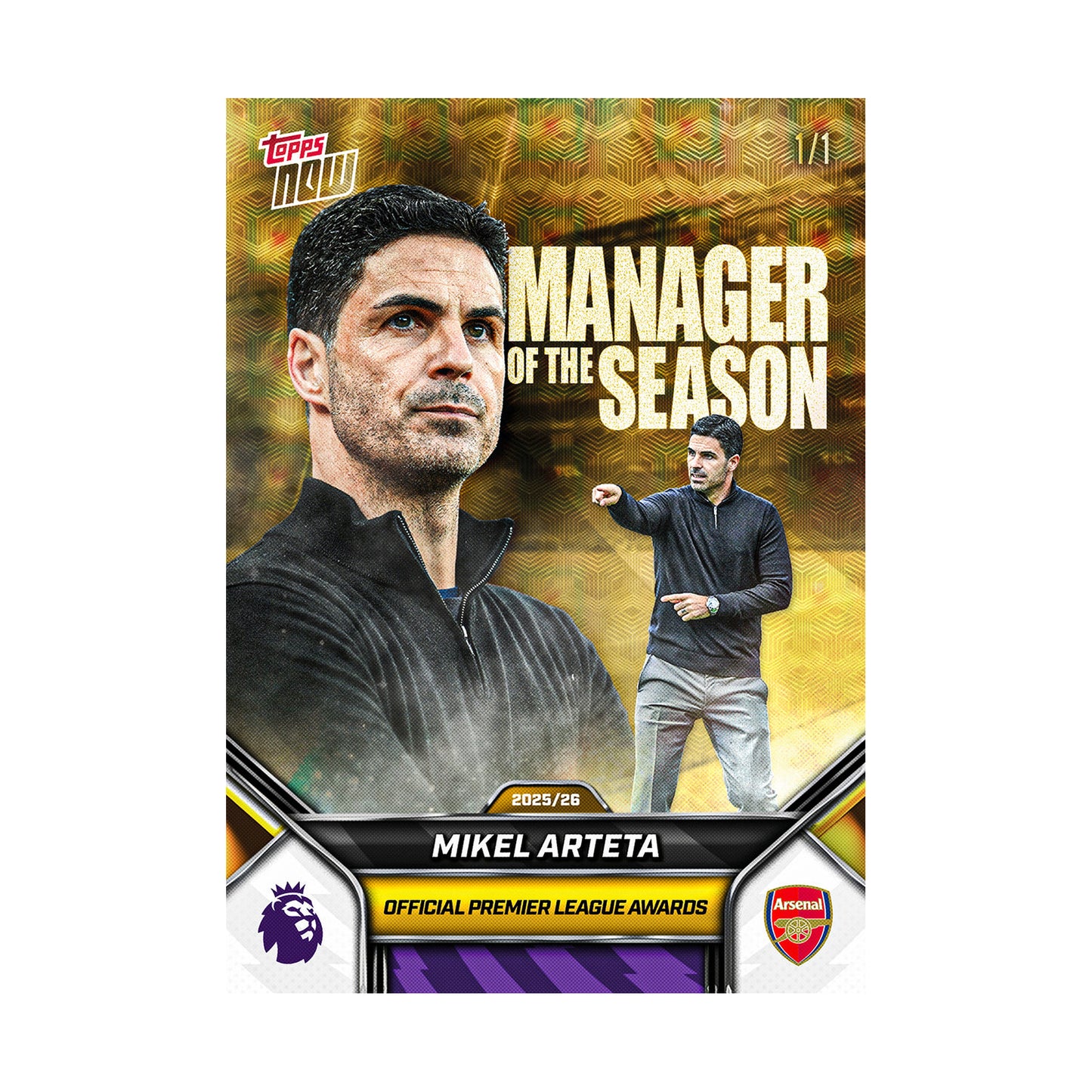 Mikel Arteta | Procards | PCS-382 | foto 3
