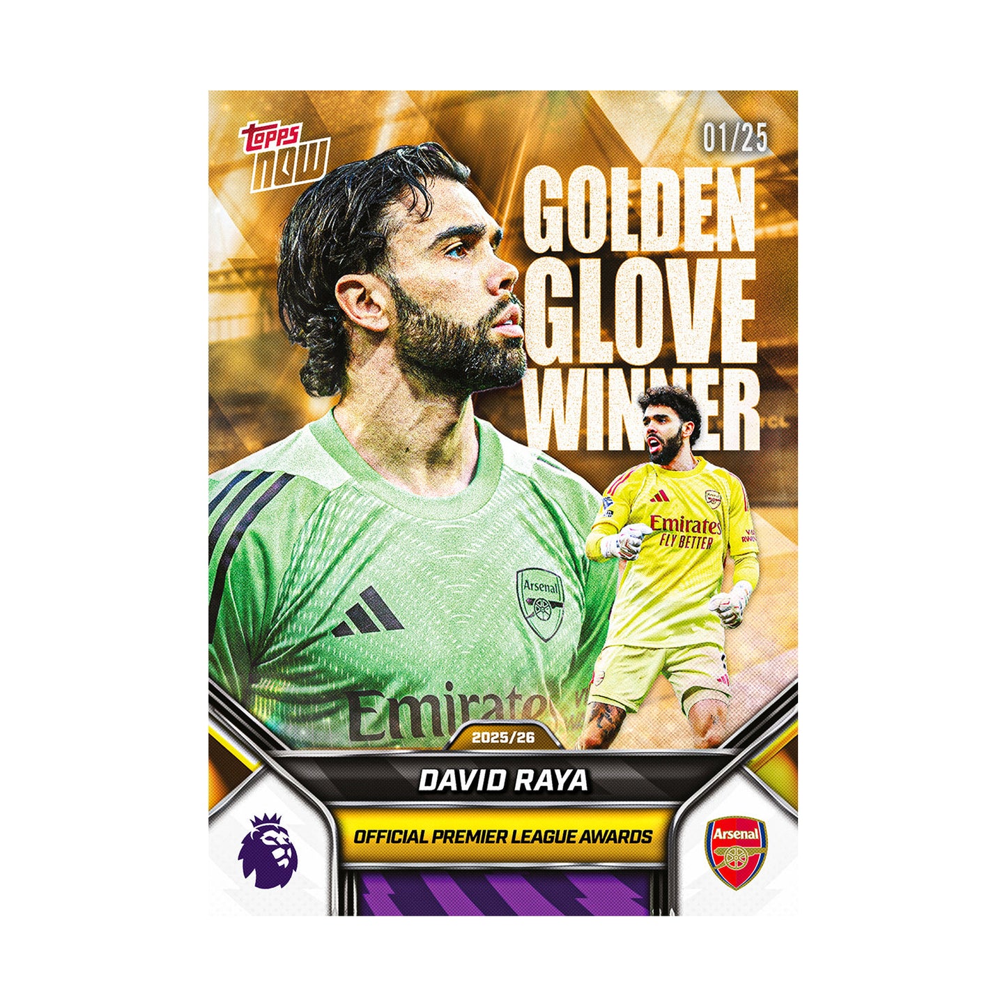 David Raya | Procards | PCS-406 | foto 6